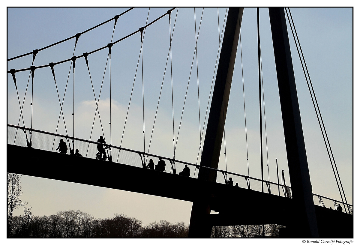 Fietsers op een brug