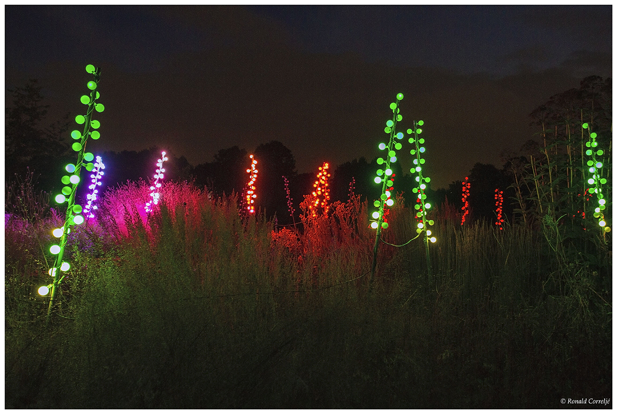 gekleurde lampjes in tuin