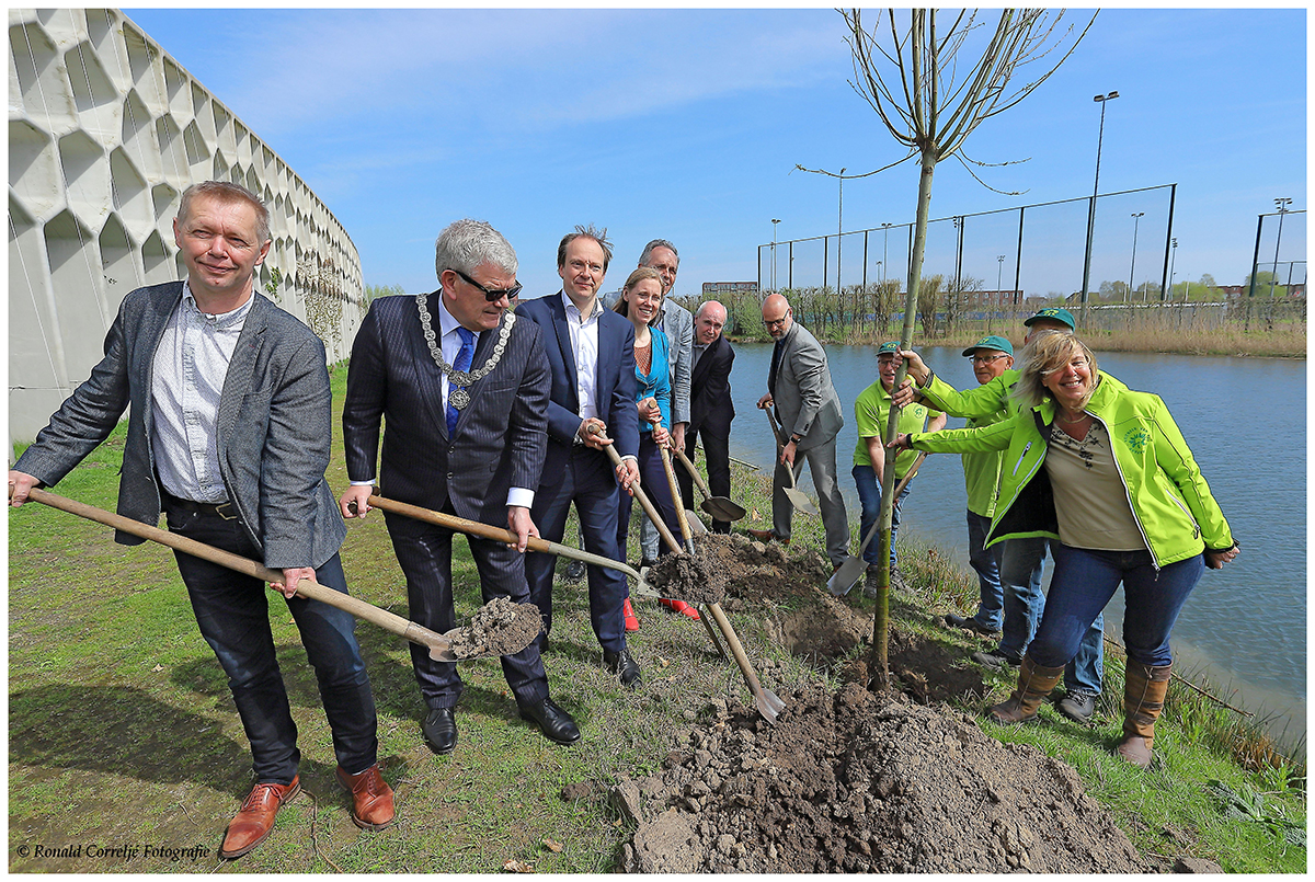 B&W Utrecht plant bomen